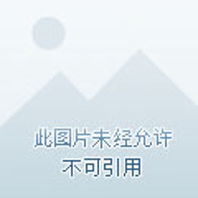 羽毛球培训:从入门到高手的必修之路