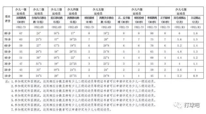 羽毛球水平测试