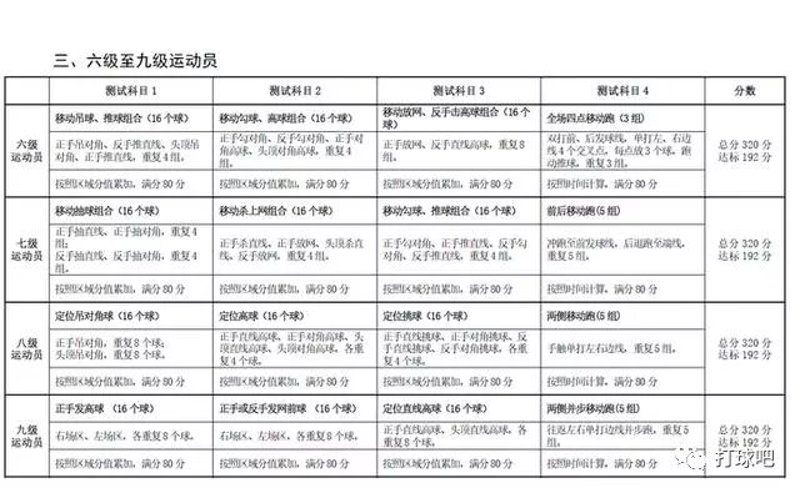 羽毛球培训：点燃你的运动热情